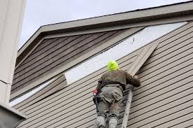 Best Vinyl Siding Installation  in Port Hueneme, CA